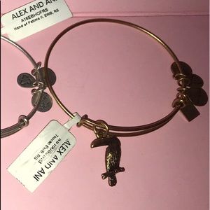 Toucan Alex and ani